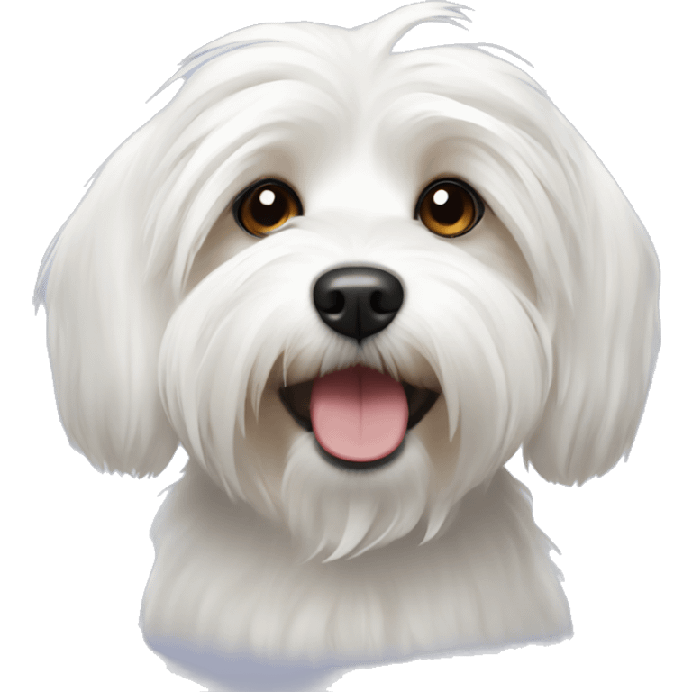 White Havanese dog  emoji