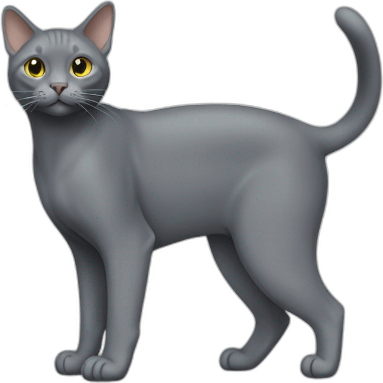 Korat Cat Full Body emoji