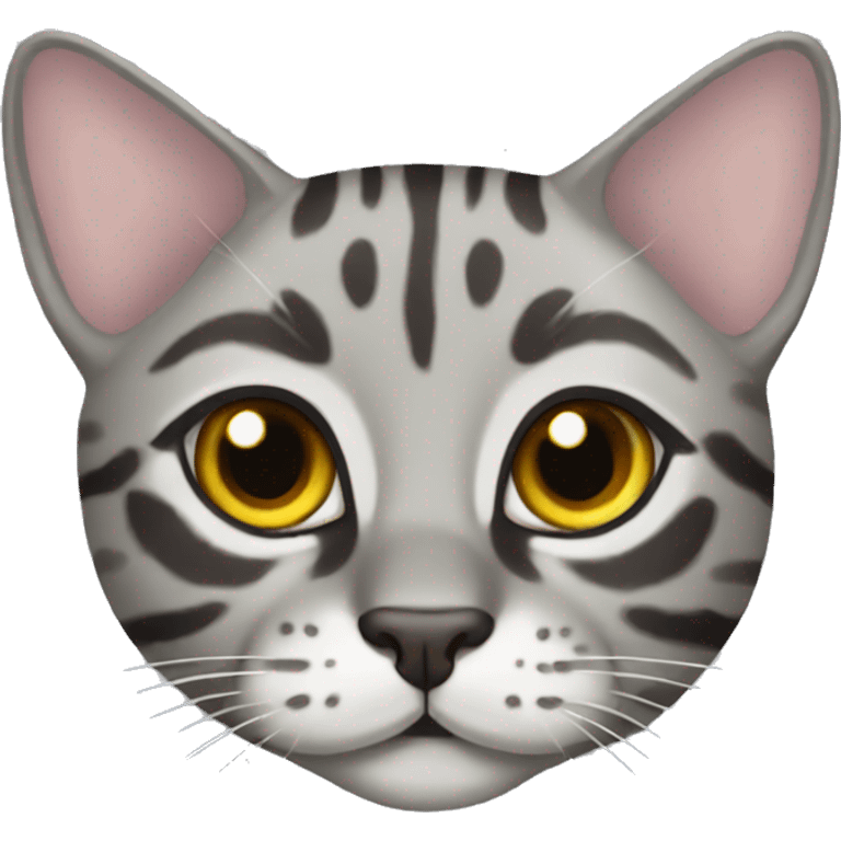 Grey Bengal cat emoji