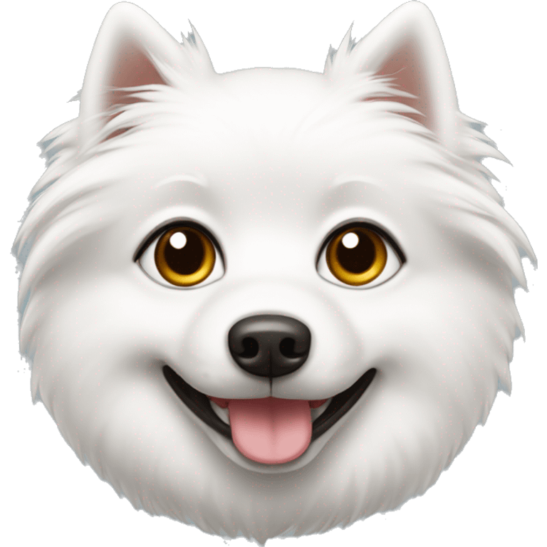 white japanise spitz with dark brown eyes emoji