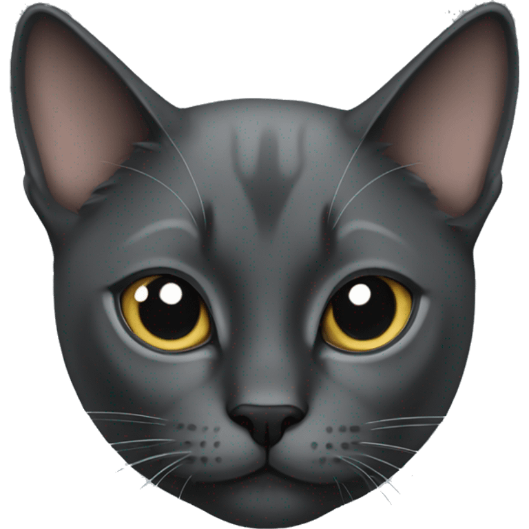 dark gray cat with siamese cat emoji