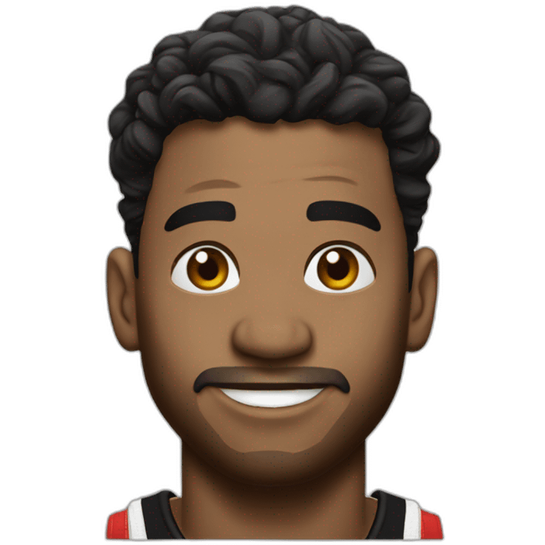 Toronto Raptors emoji