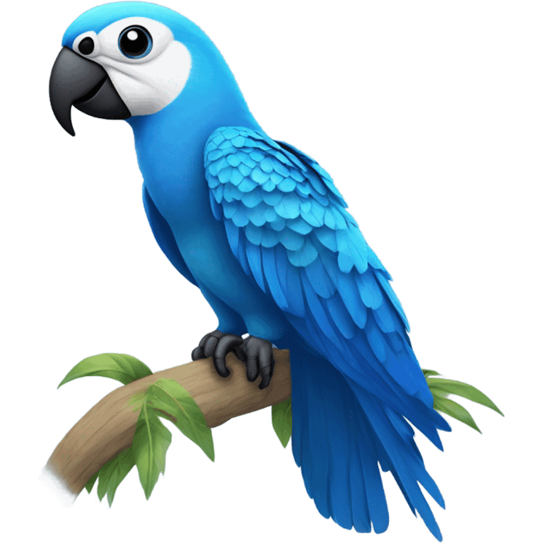 Blue spix macaw emoji