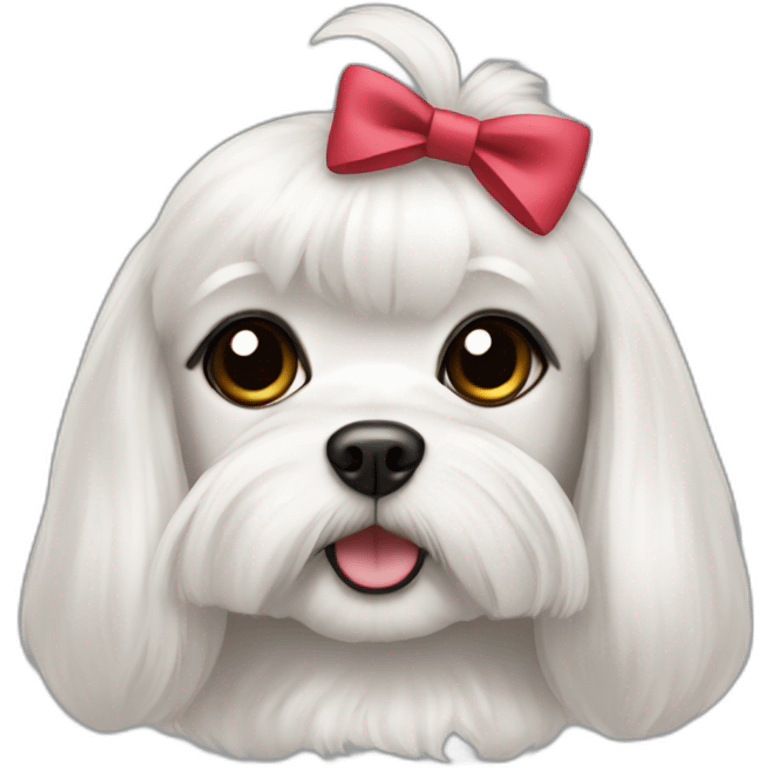 Maltese dog female with a hair bow, with black eyes, with dark eyes emoji