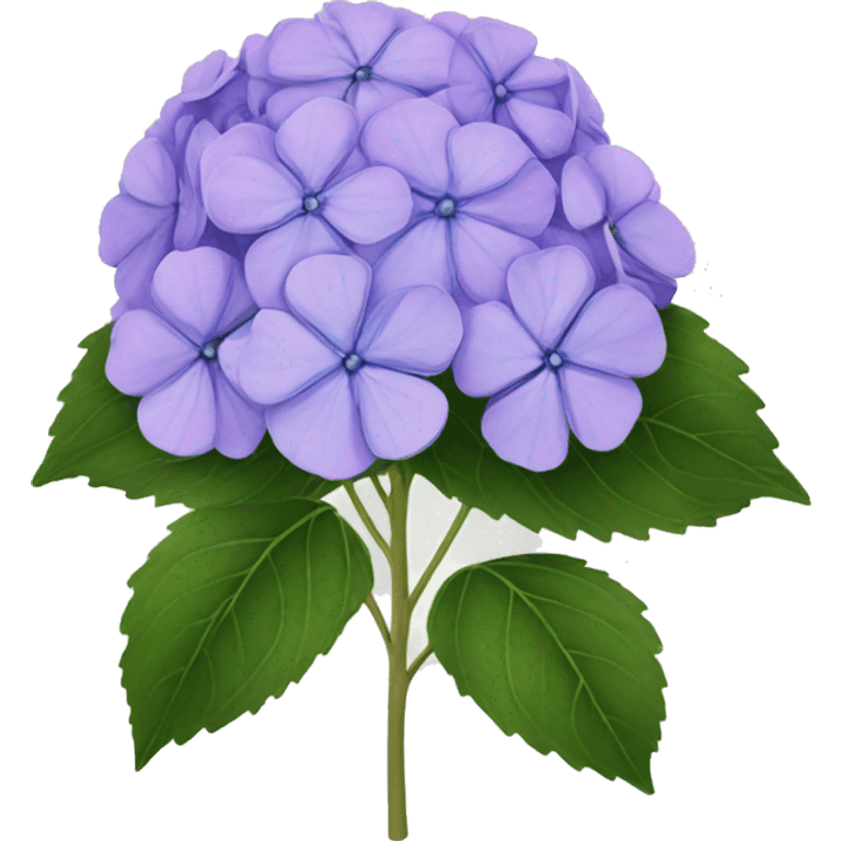 hydrangea emoji