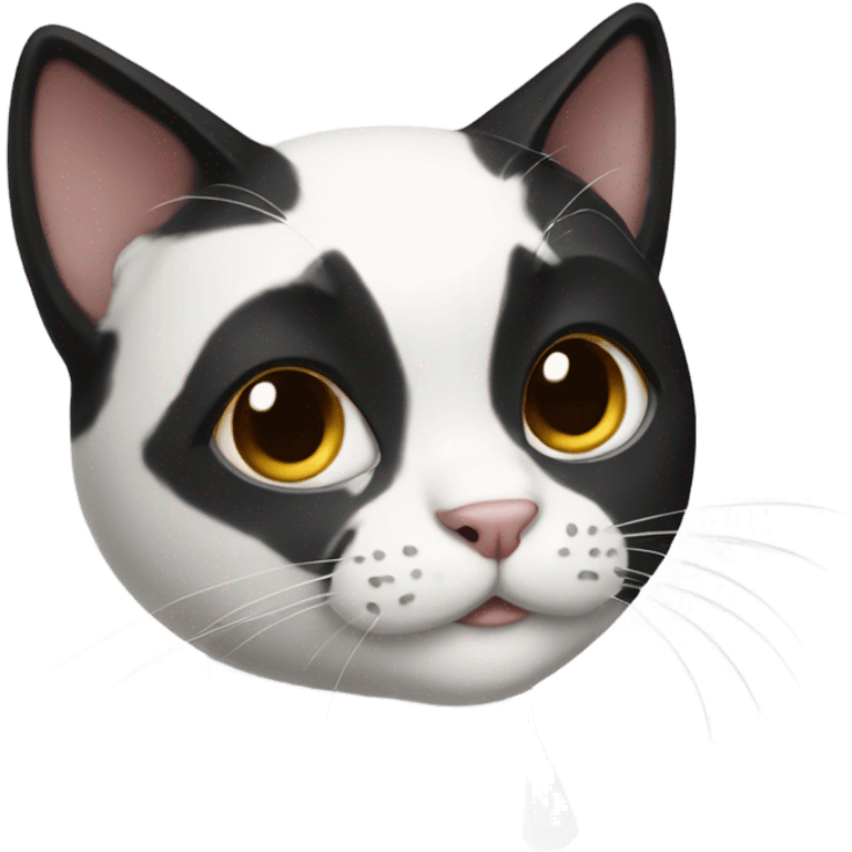 Black and white cat full body emoji