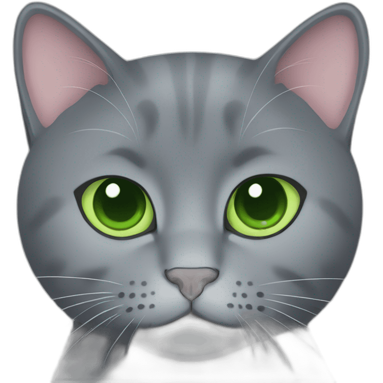 round faces grey russian blue cat with green eyes and fat emoji