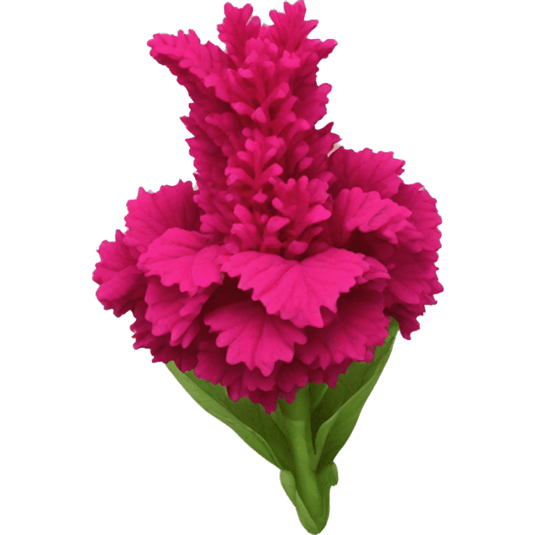 celosia flower emoji