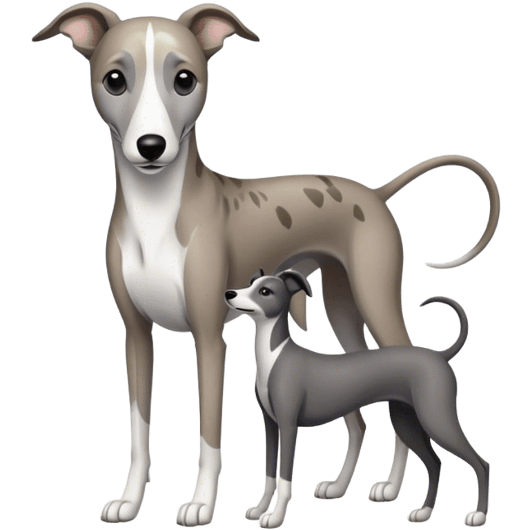 Grey and white brindle greyhound with black and white greyhound emoji