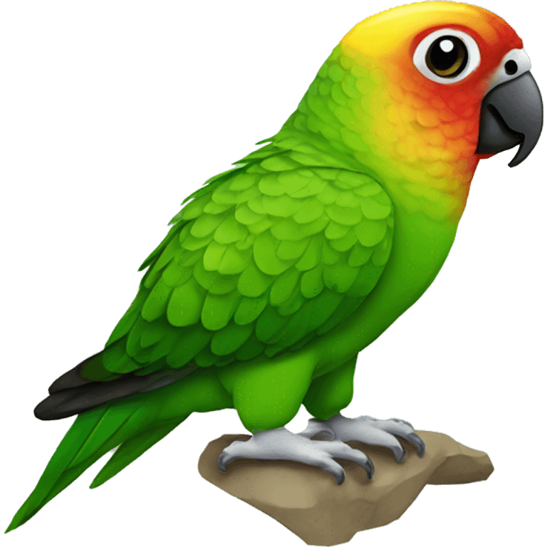 Green cheek conure  emoji