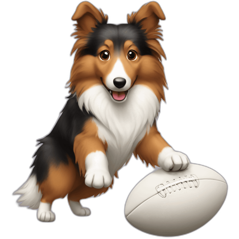 Sheltie plays rugby emoji