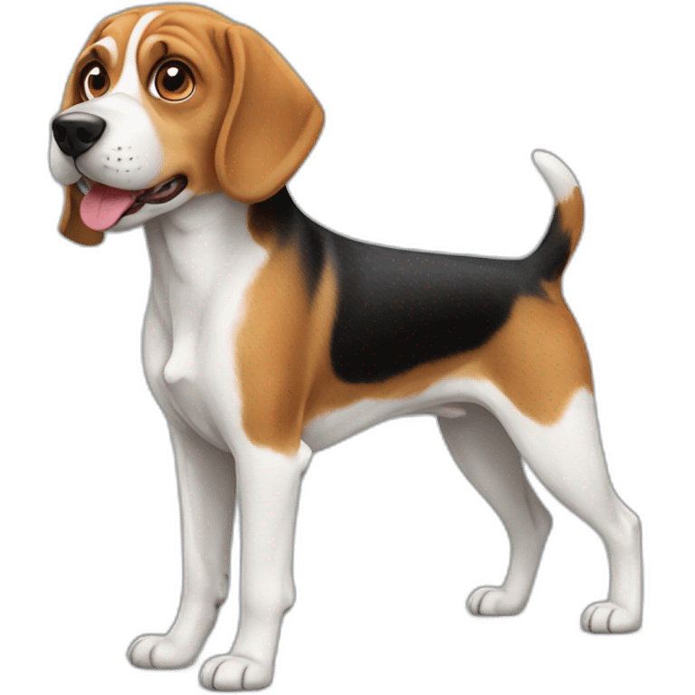 Dog Beagle emoji