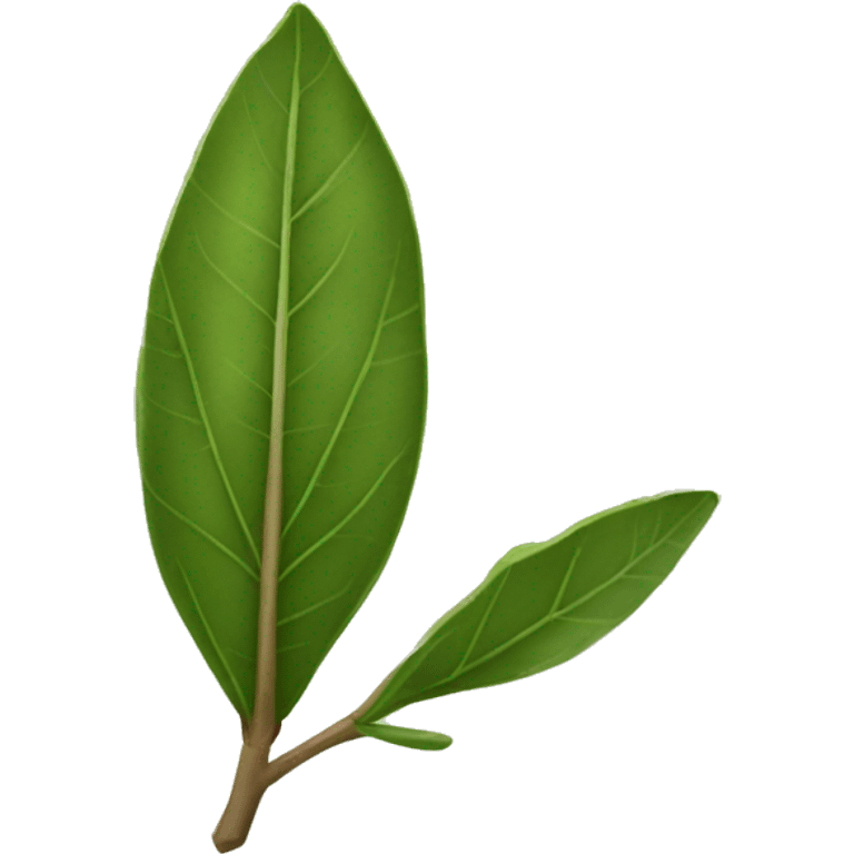 Bay leaf emoji