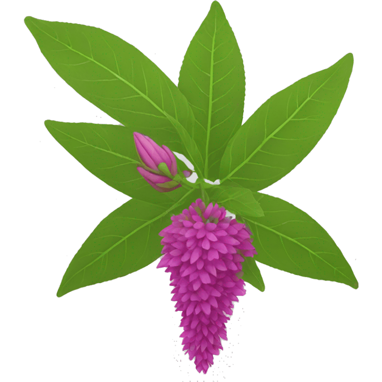 amaranth flower emoji