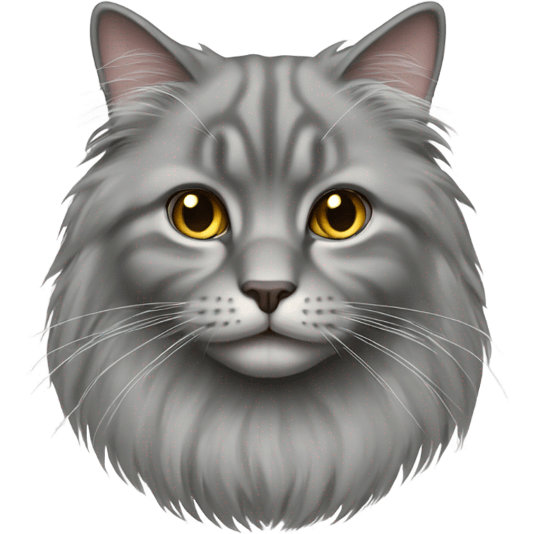 gray longhaired fold cat emoji