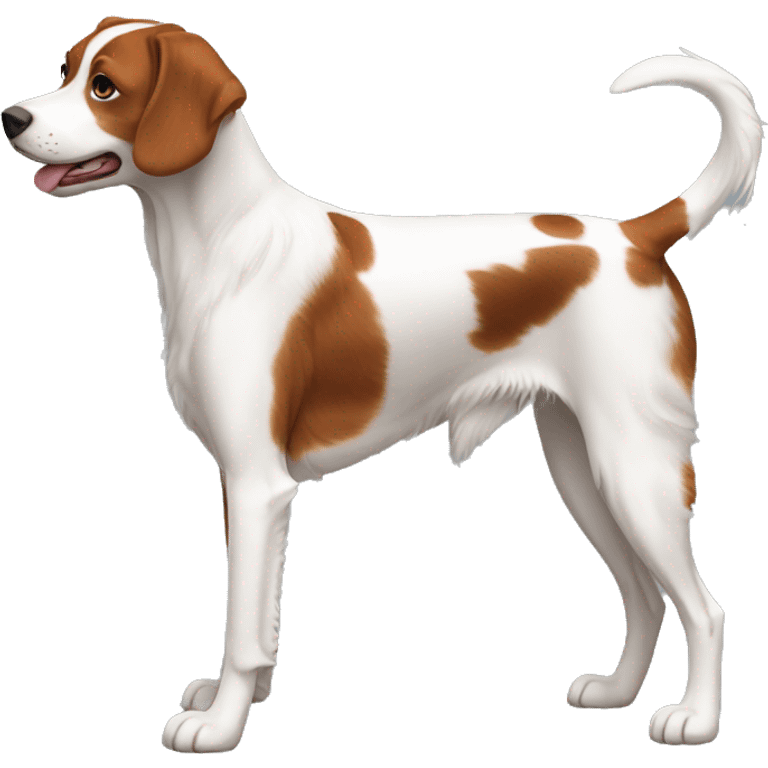 Brittany Dog Breed Full Body emoji