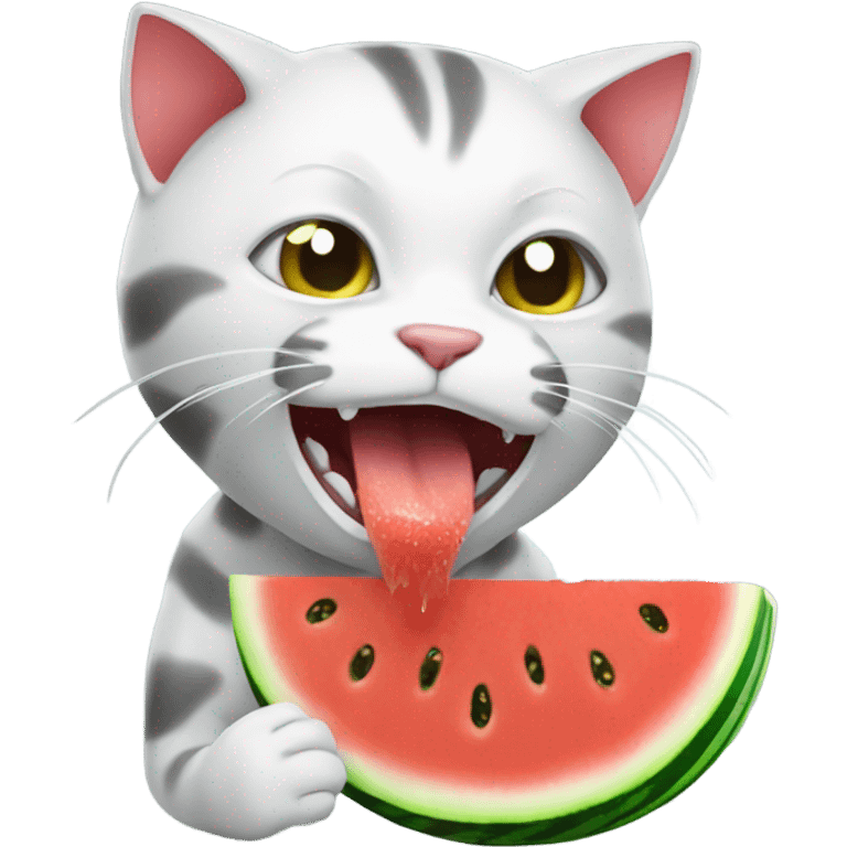 Cat eating water melon  emoji