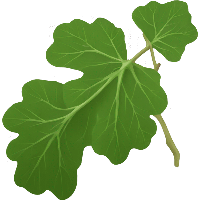 fig leaf emoji