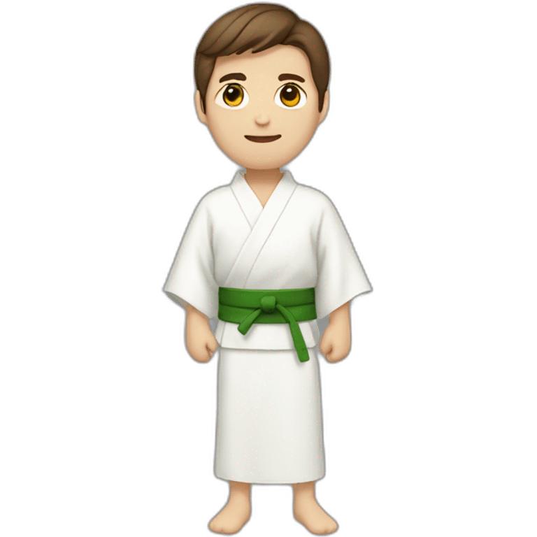 a guy with brown hair in a white kimono with a green belt emoji