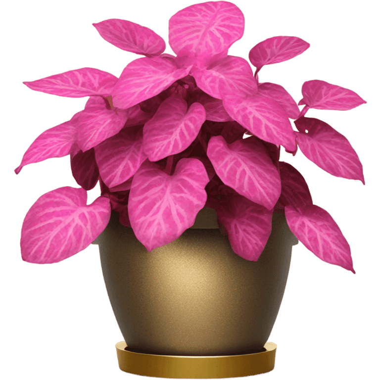 Hippo Hypoestes pink in round gold planter emoji