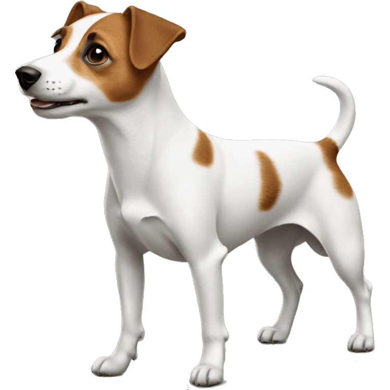 Jack Russell dog  emoji