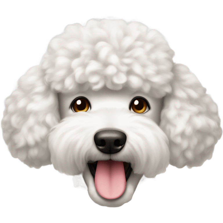 White short hair poodle  emoji