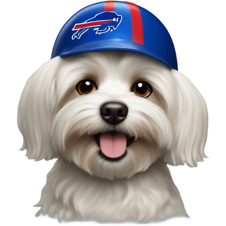 Havanese dog wearing a Buffalo Bills helmet  emoji