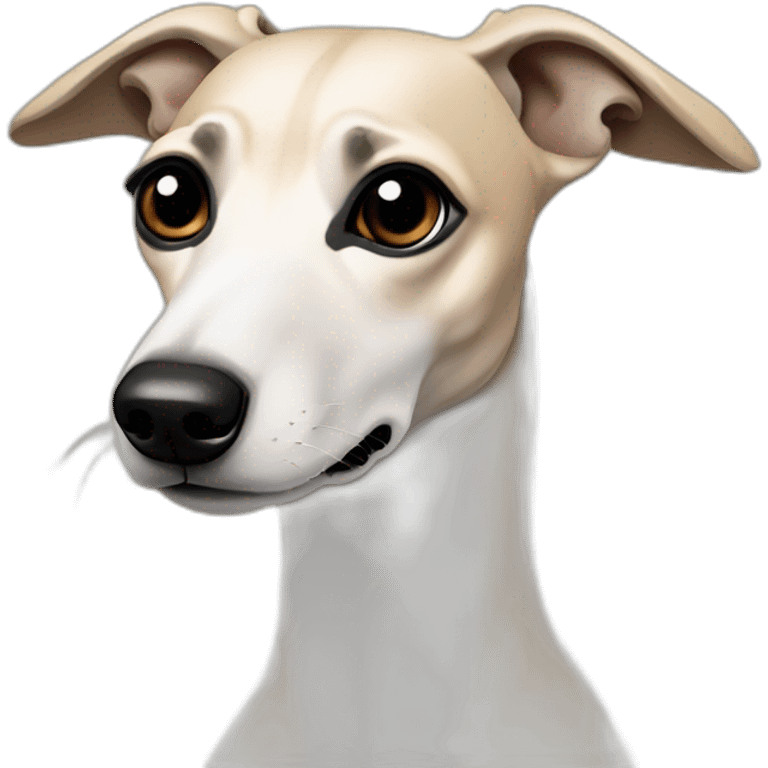 a beige whippet with a dark snout and black angel wing like eyes emoji