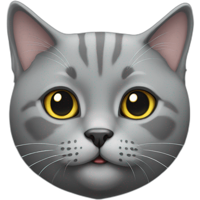 cute gray british cat emoji