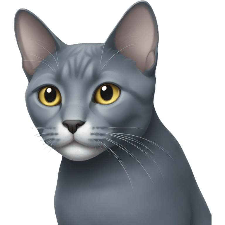 Tall large russian blue cat with white patch of hair on chest emoji