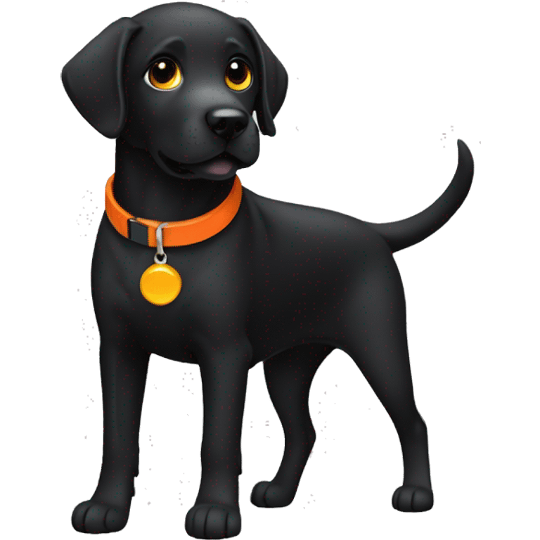 black Labrador retriever with orange collar emoji