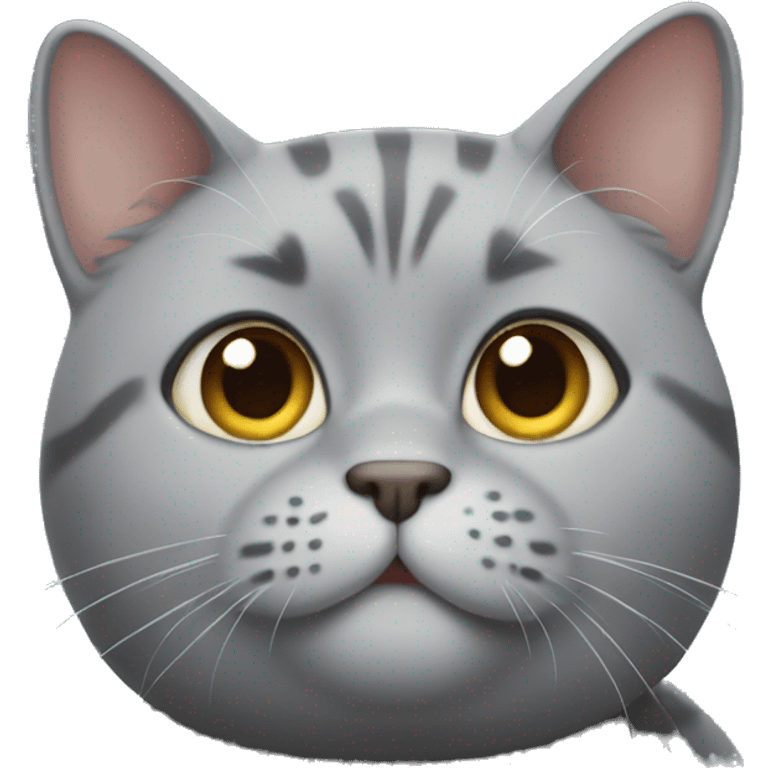 Chonky grey cat emoji