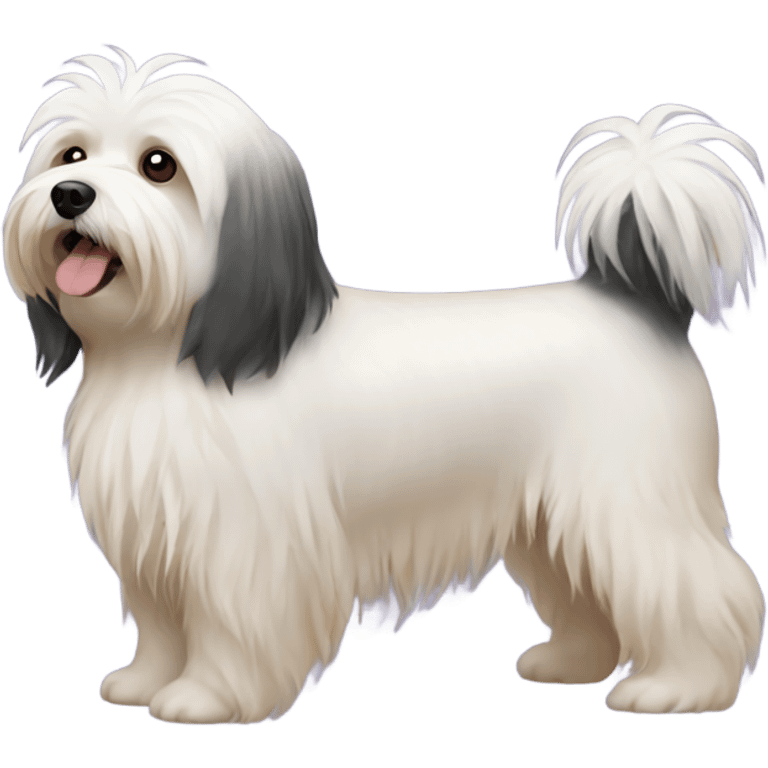 Havanese dog tricolor emoji