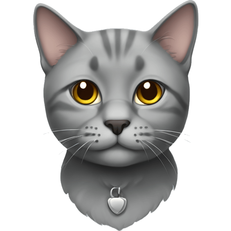 Gray Scottish cat emoji