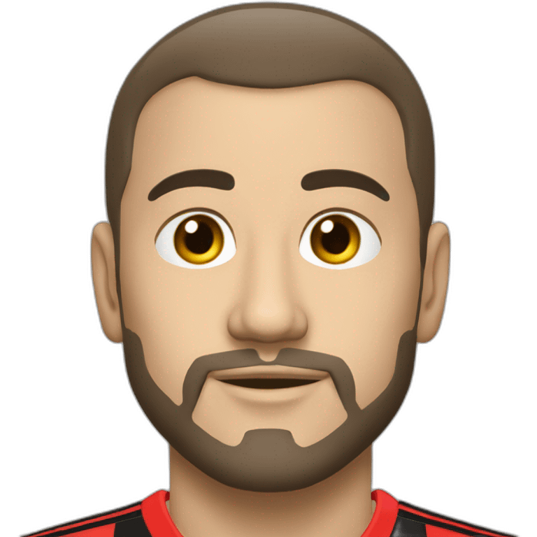 Stade Rennais  emoji