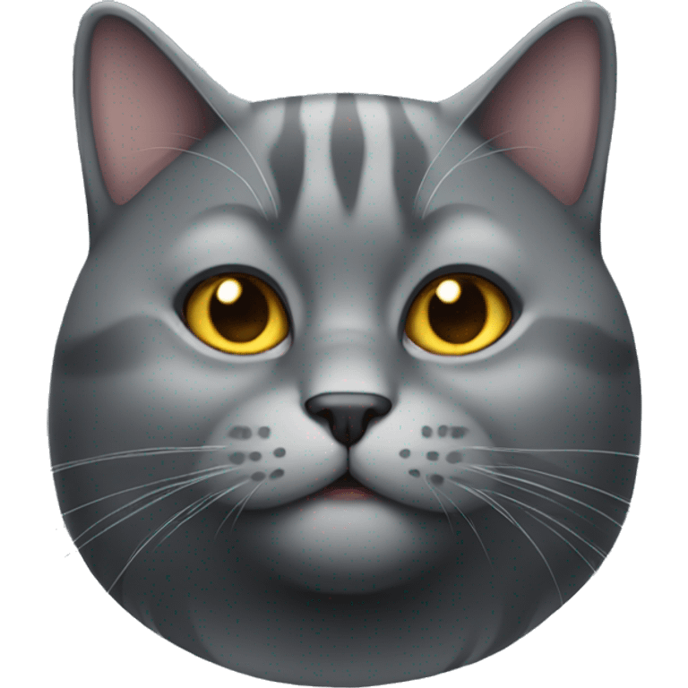 A fat grey dark grey cat emoji