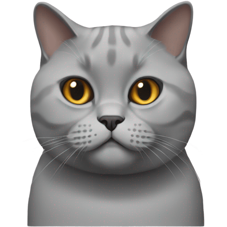 british shorthair cat emoji