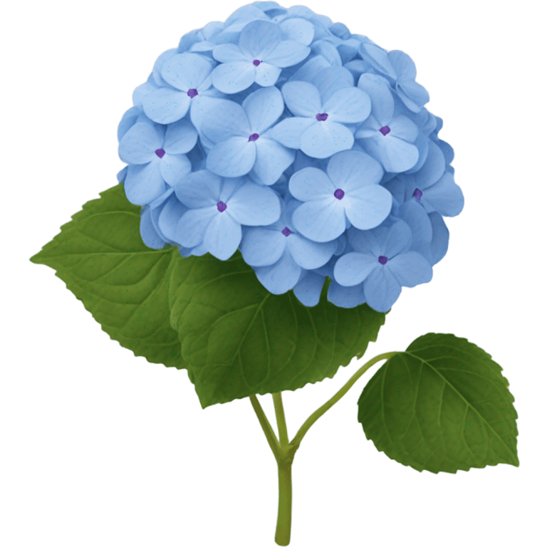 Hydrangea emoji