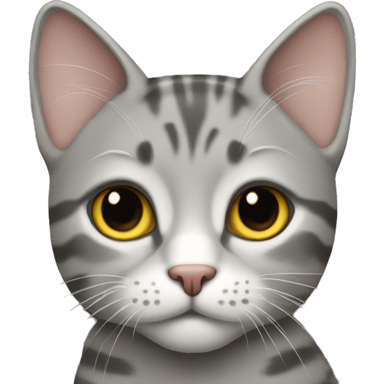 Grey tabby cat emoji