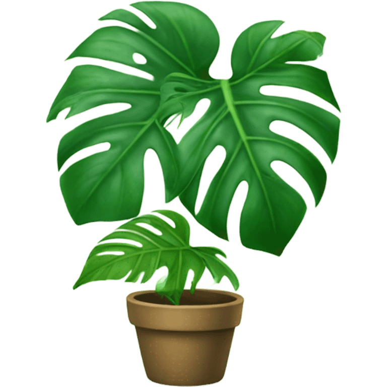 Dancing monstera from the 80’s emoji