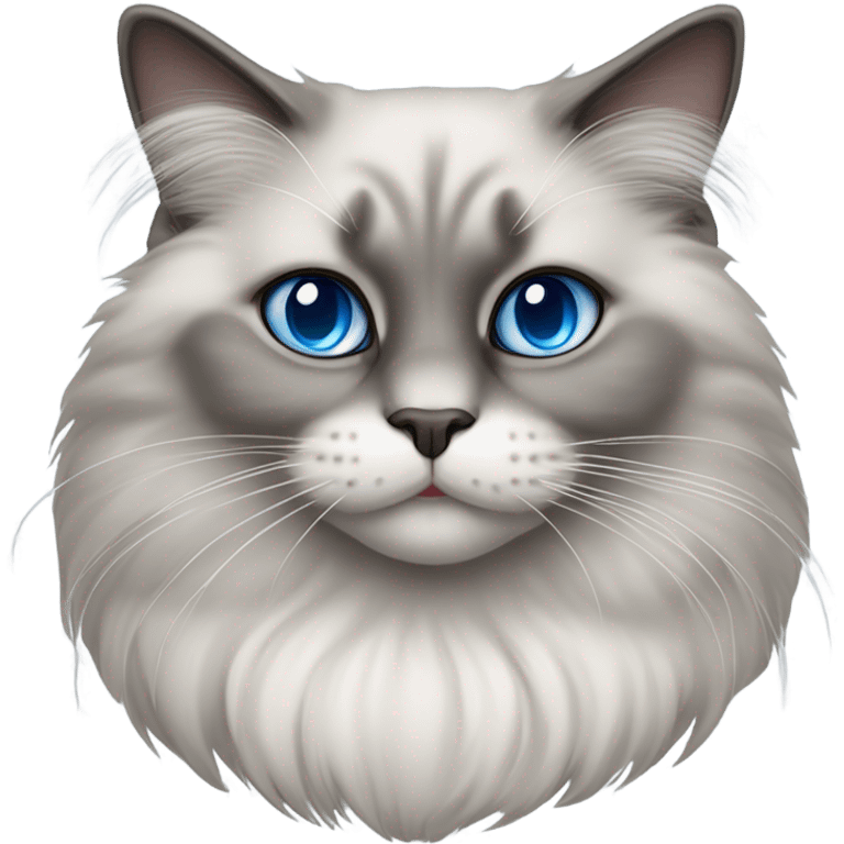 grey ragdoll cat emoji