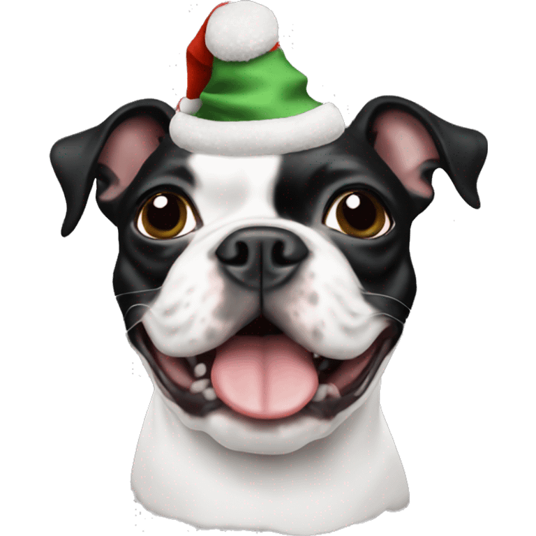 Boston terrier Christmas hat emoji