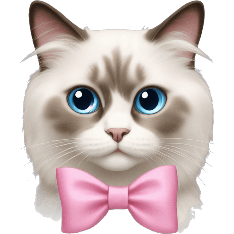 ragdoll cat pink bow emoji