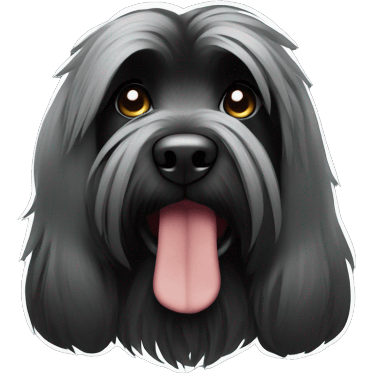 Briard couleur : noir emoji