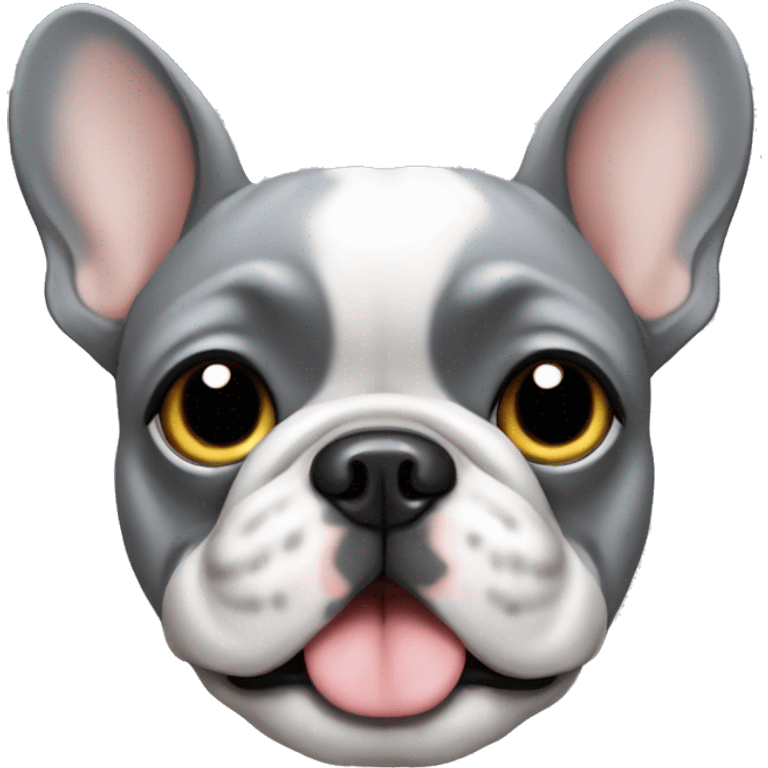 Cute grey French bulldog  emoji