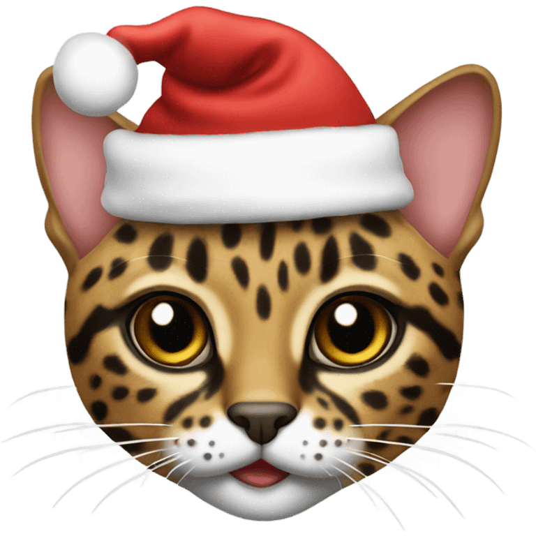 Leopard cat with santa hat emoji