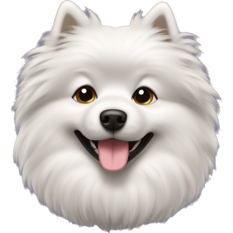 black fluffy spitz dog emoji