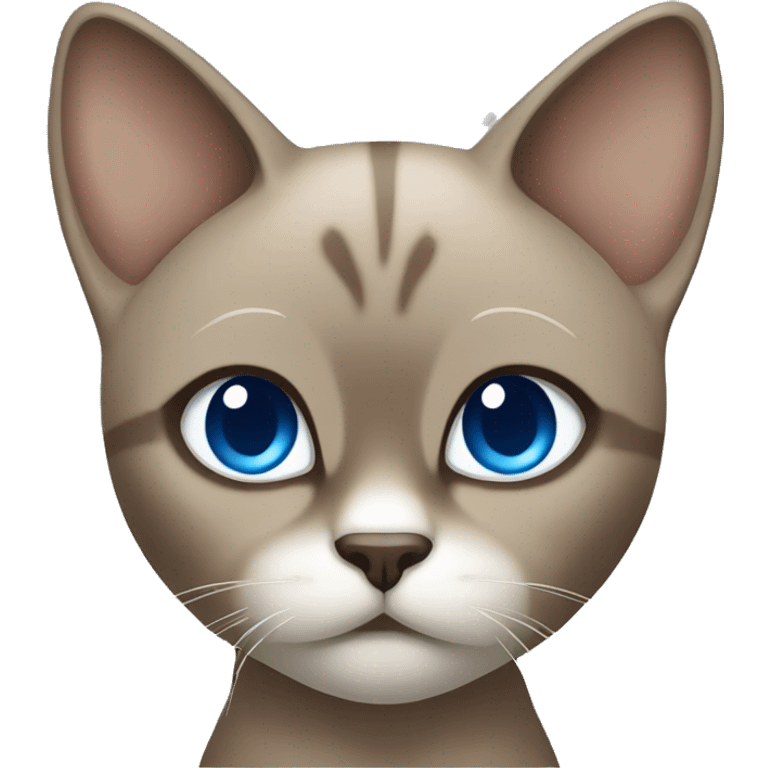 Dark Brown face - beige body and ears female thai cat with blue eyes  emoji