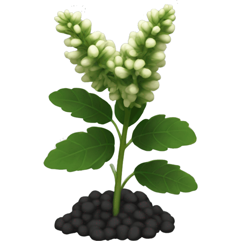 Black Cohosh plant emoji