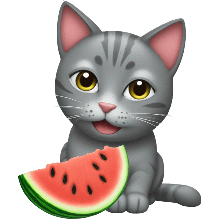 Grey cat eating watermelon  emoji